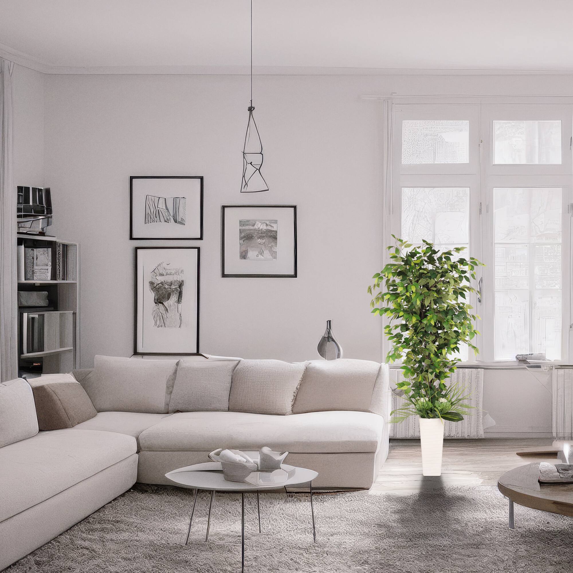 6ft. Artificial Ficus Microcarpa Tree in White Decorative Pot